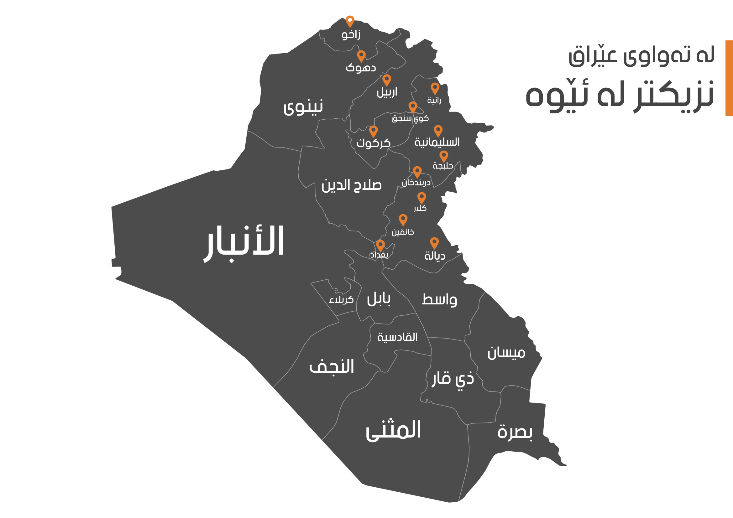 Our Professional Team